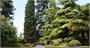 9c - Blick vom App. Alfredo auf den Park der Villa